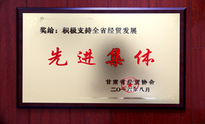 甘肅寶徽實業集團先進集體