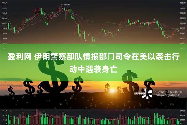 盈利网 伊朗警察部队情报部门司令在美以袭击行动中遇袭身亡