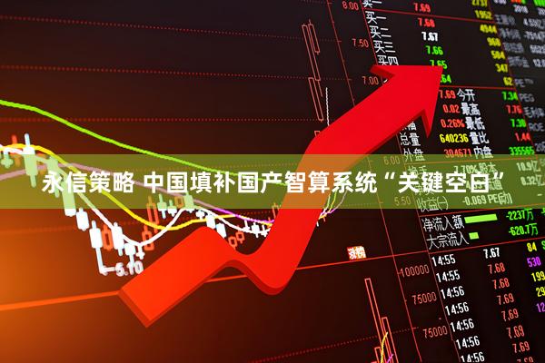 永信策略 中国填补国产智算系统“关键空白”