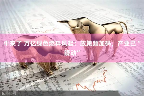 牛来了 万亿绿色燃料风起：政策频加码，产业已“躁动”