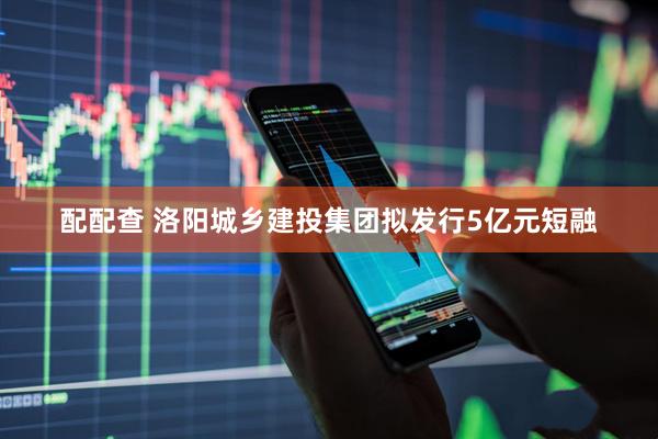 配配查 洛阳城乡建投集团拟发行5亿元短融