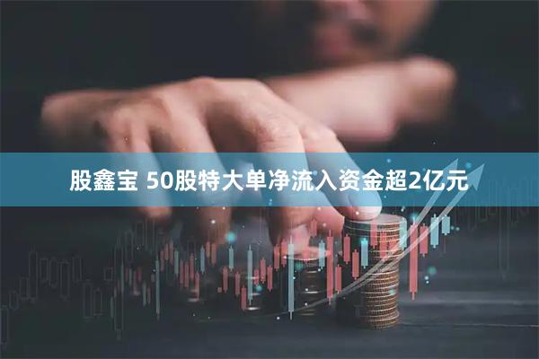 股鑫宝 50股特大单净流入资金超2亿元