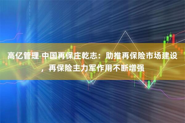 高亿管理 中国再保庄乾志：助推再保险市场建设，再保险主力军作用不断增强