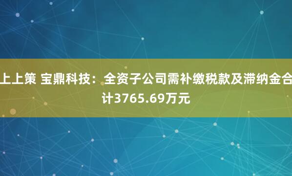 上上策 宝鼎科技：全资子公司需补缴税款及滞纳金合计3765.69万元