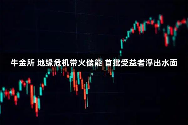 牛金所 地缘危机带火储能 首批受益者浮出水面