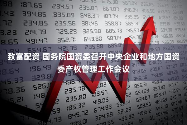 致富配资 国务院国资委召开中央企业和地方国资委产权管理工作会议