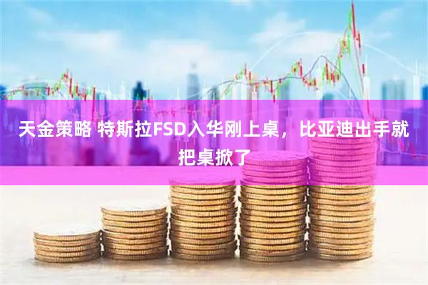 天金策略 特斯拉FSD入华刚上桌，比亚迪出手就把桌掀了